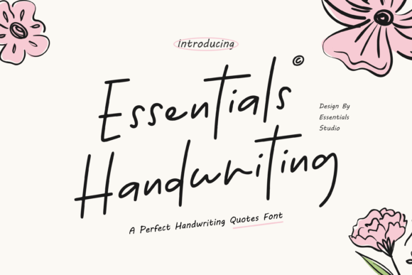 Download Essentials Handwriting - Writing Collection